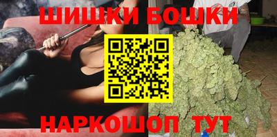 мдпв Вышний Волочёк