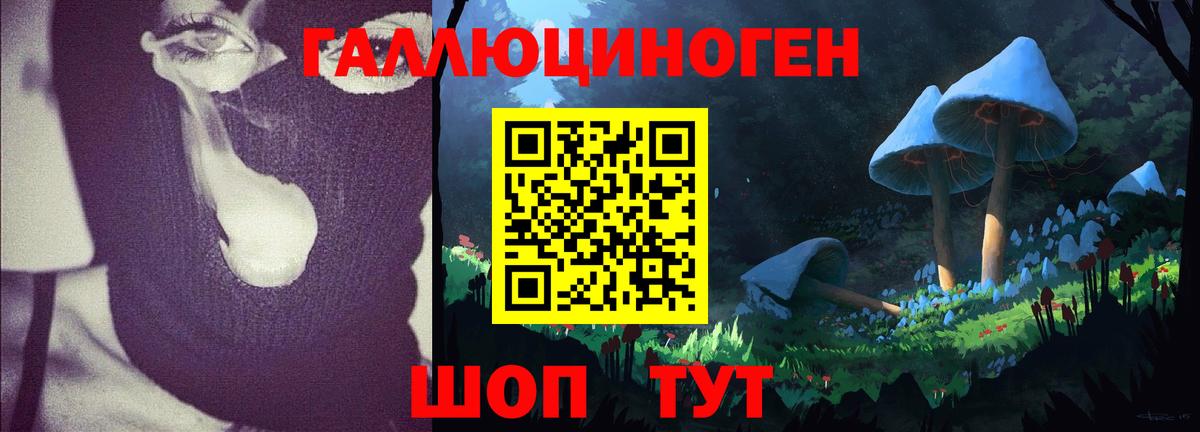Галлюциногенные грибы Psilocybe Владикавказ