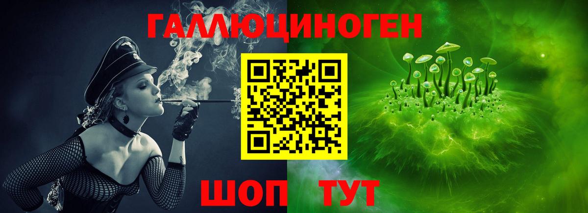 Галлюциногенные грибы Psilocybe  Вход с VPN  Владикавказ 